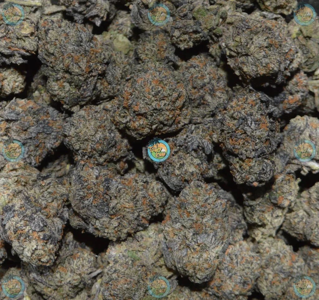 LAMB’S BREAD Cannabis in DC