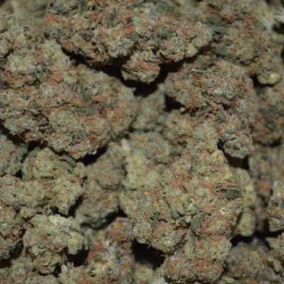 Sour Diesel Cannabis