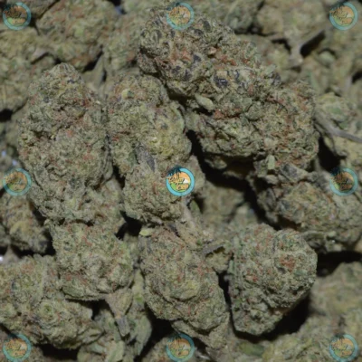 Green Crack Cannabis