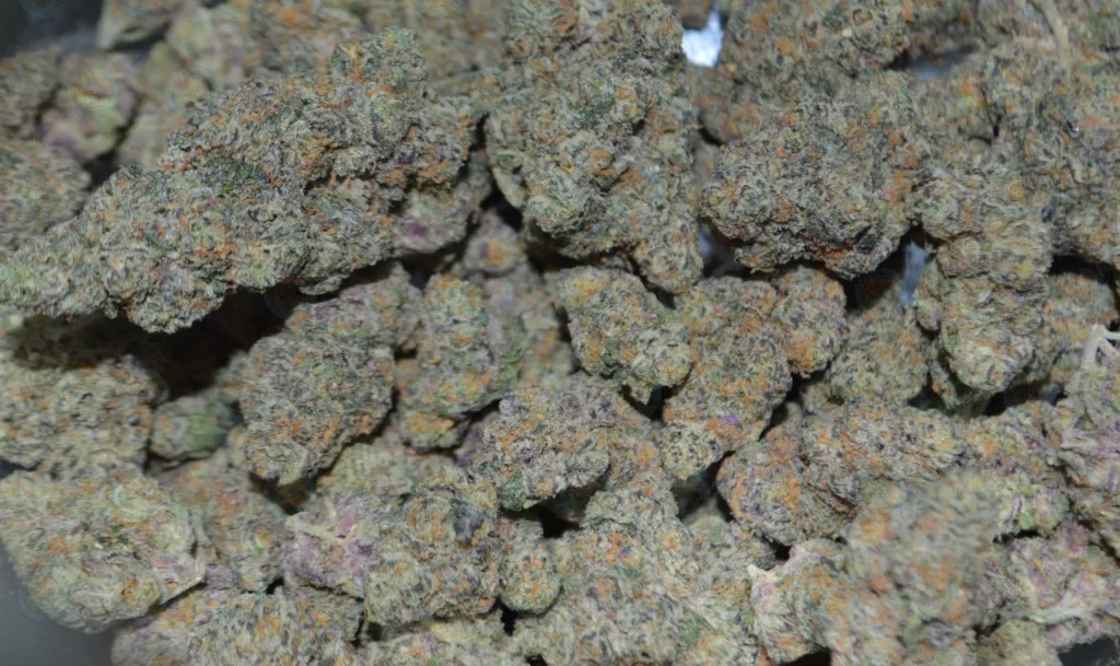 Best Hybrid Cannabis Strains