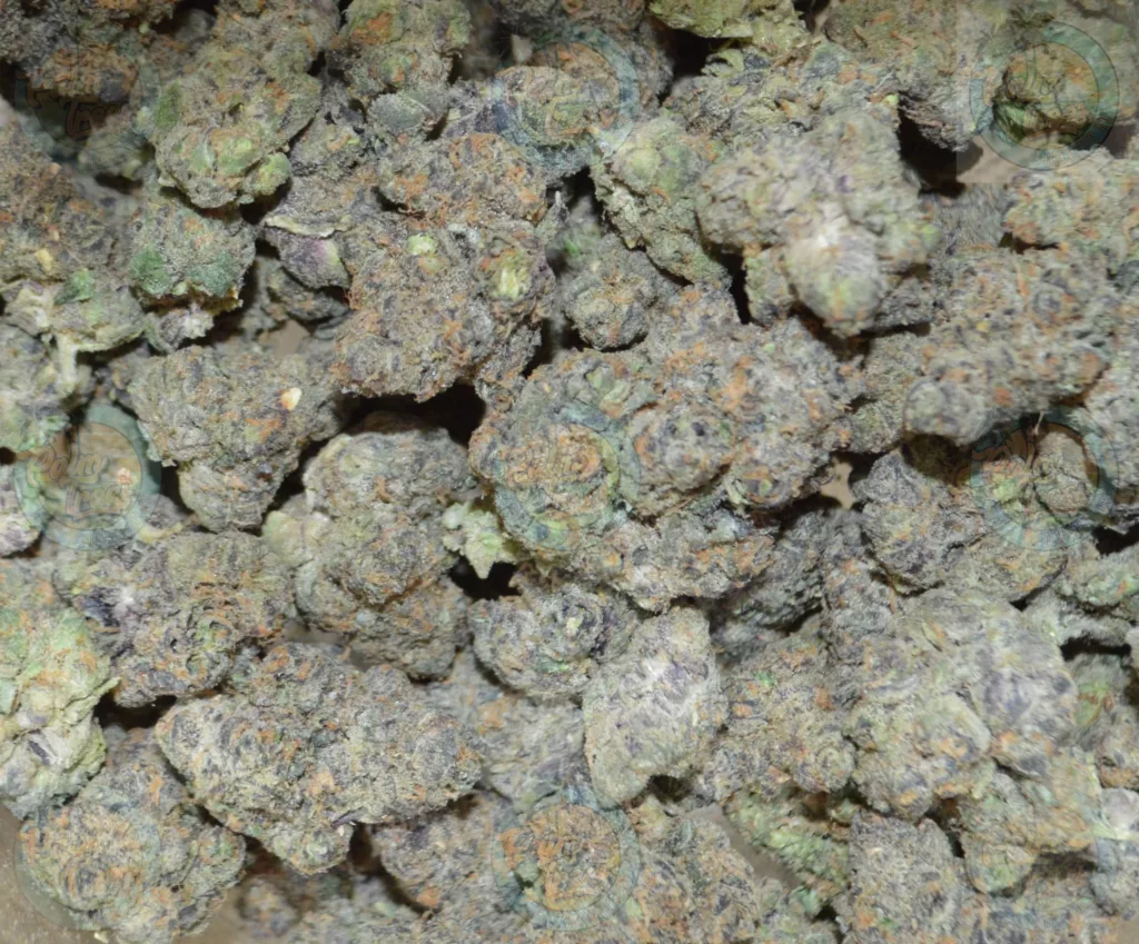 White Durban Cannabis