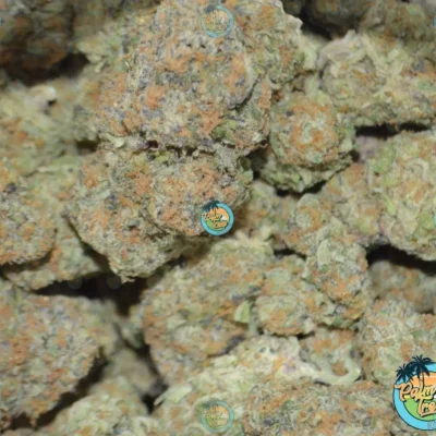 TWO OZ OF CLASSIC FLOWER DEAL