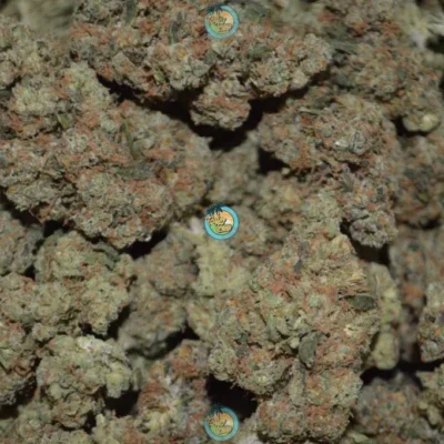 FOUR QUARTERS OF CLASSIC FLOWER DEAL