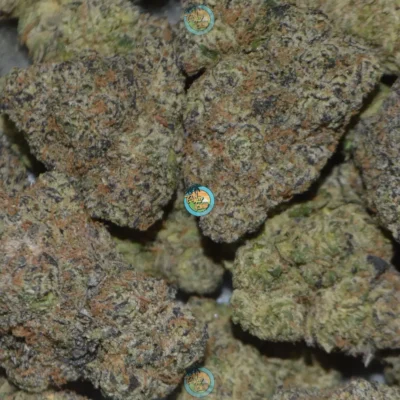 FOUR QUARTERS OF PREMIUM FLOWER DEAL