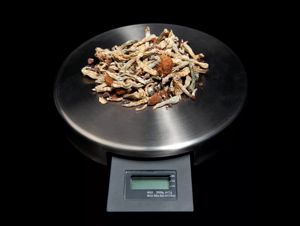 Psilocybin Microdosing and Macrodosing