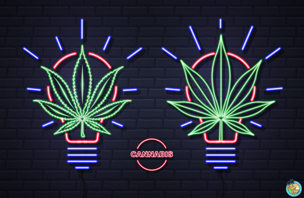 Enhancing Creativity with Cannabis