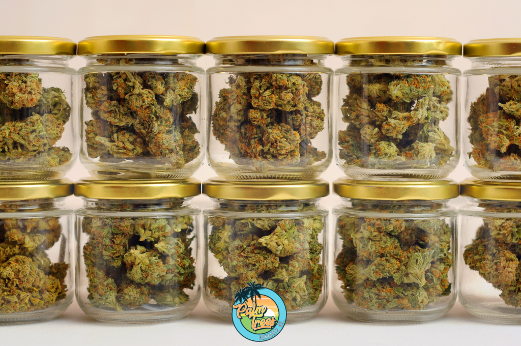 Popular Marijuana Strains