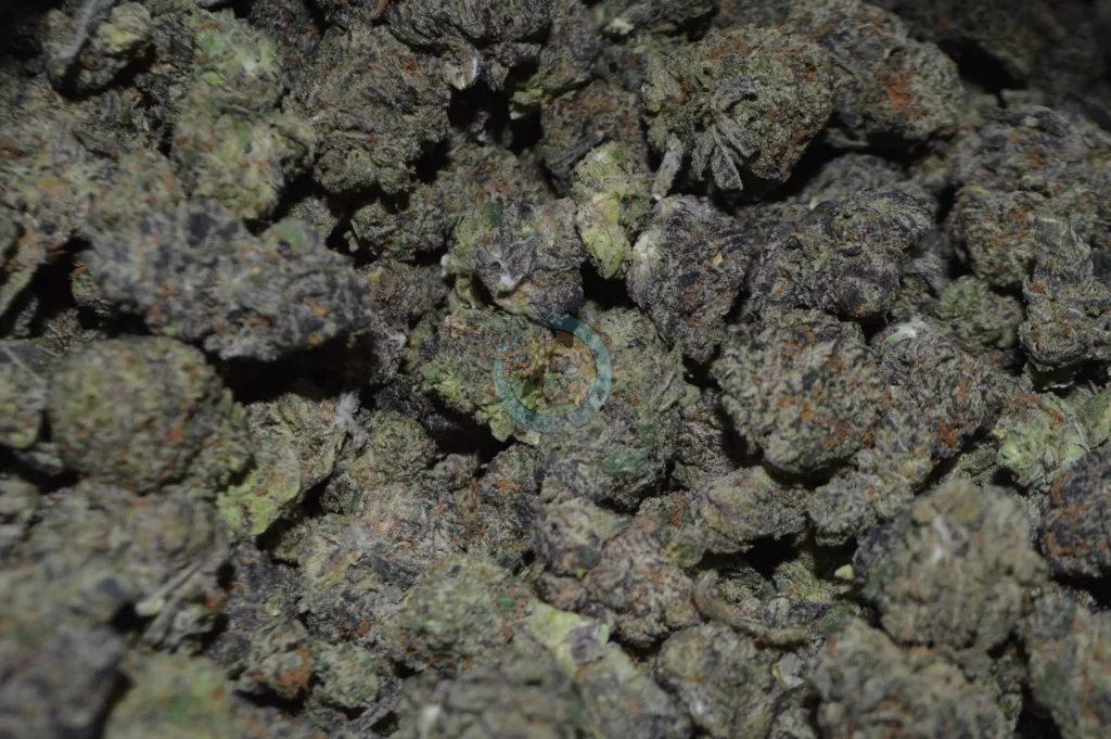 Godfather OG Cannabis