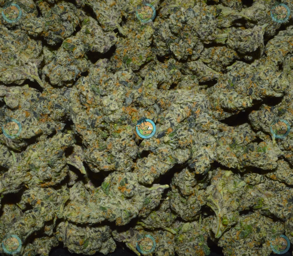 Pineapple Express Cannabis Strain