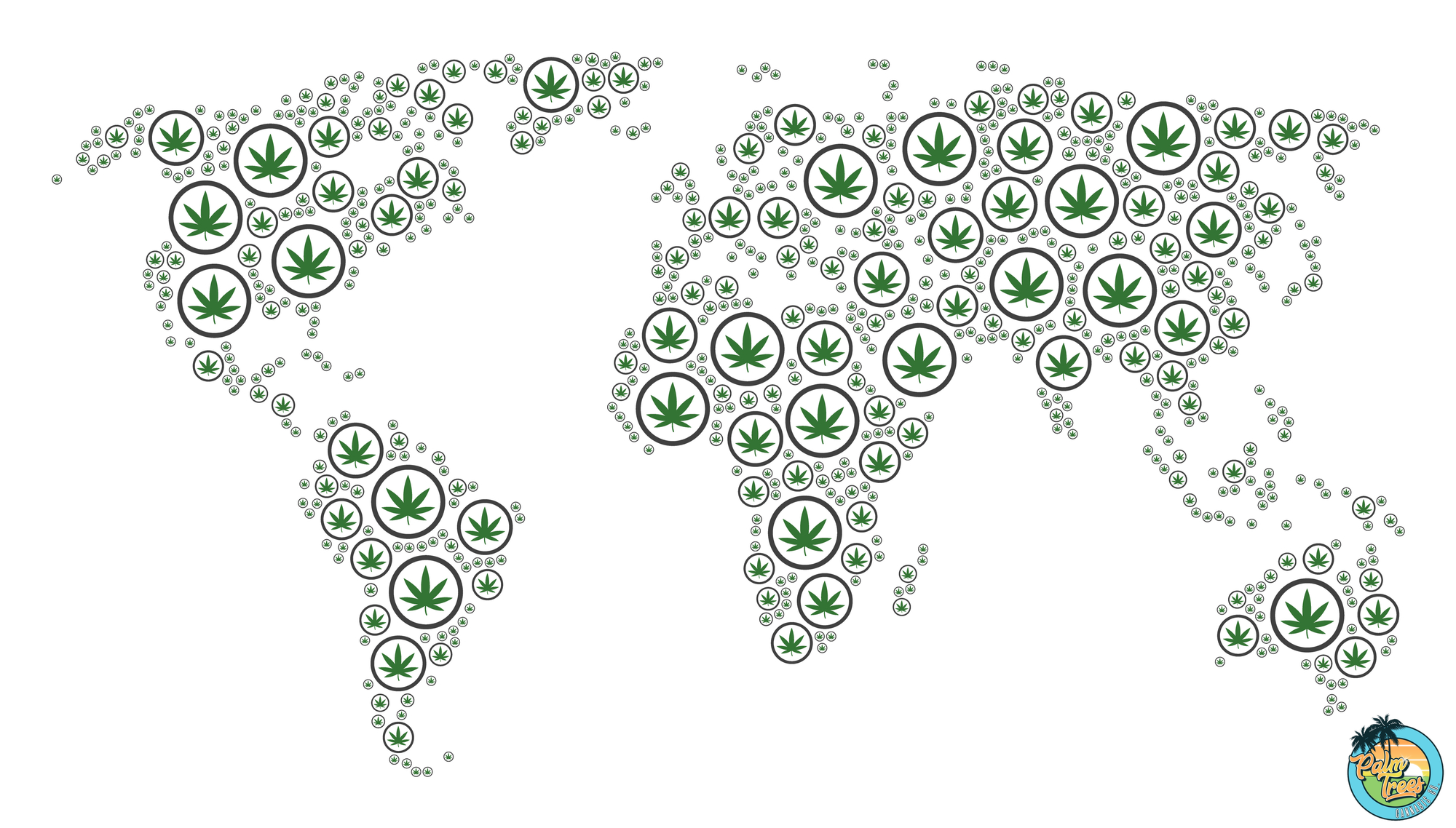 Unveiling Marijuana’s Worldwide Journey | PALM TREES DC 