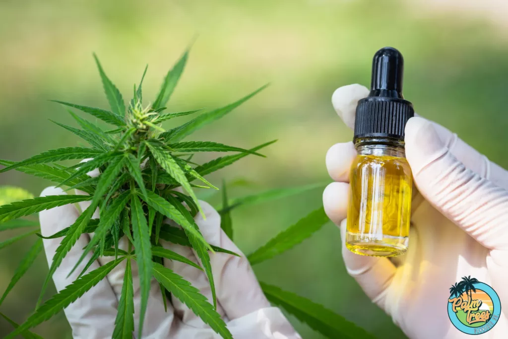 Delta-8 vs. Delta-9 THC