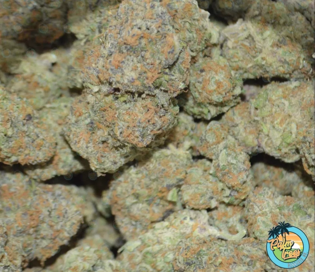 Candyland Strain Profile