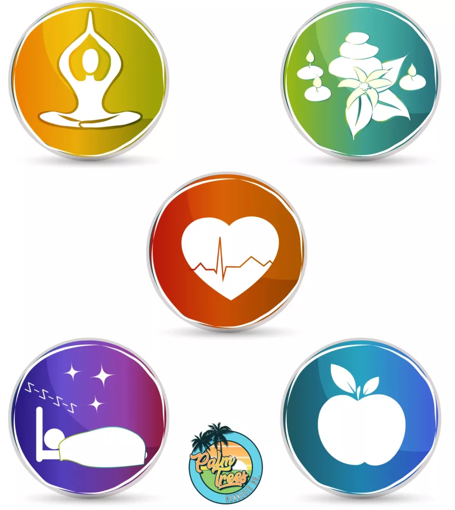 Five Effective Ways to Boost Your Endocannabinoid System