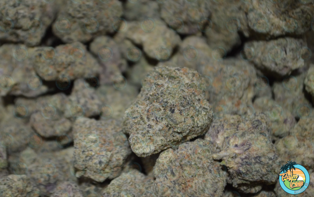 FROSTED CAKES Cannabis