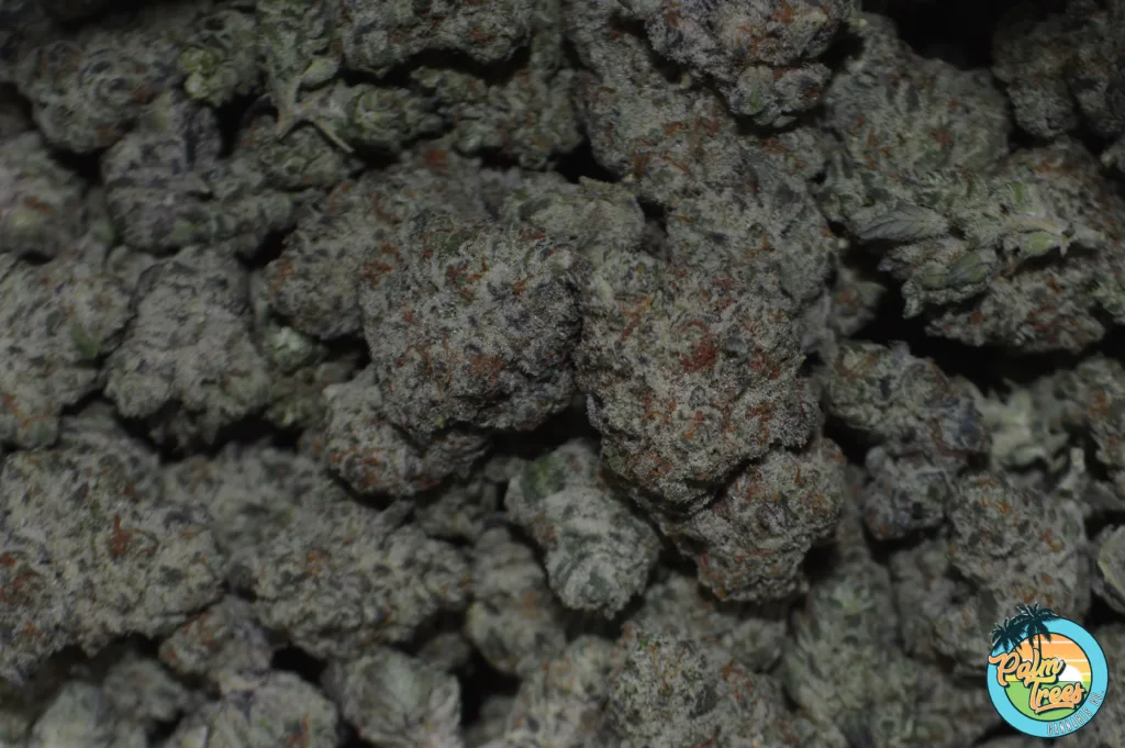 Sherbet Cannabis