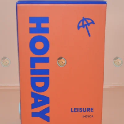 Holiday Disposable Vapes Leisure