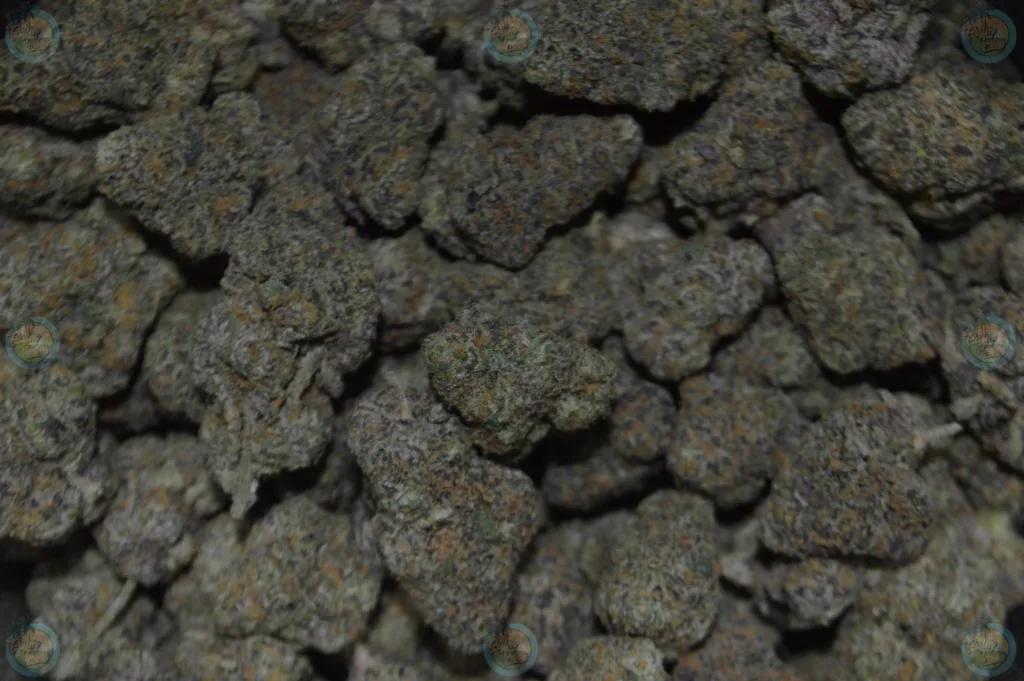 Mochi Gelato Cannabis in DC