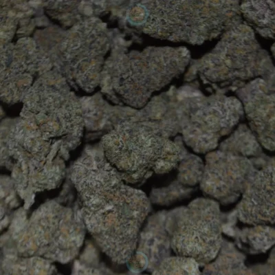 Mochi Gelato Cannabis in DC