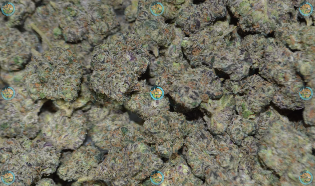 BLUE DRAGON CANNABIS