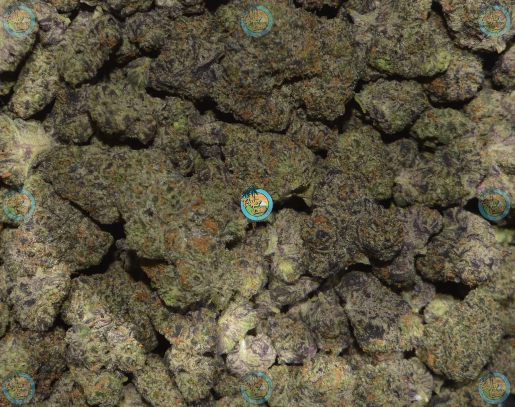 Haymaker Cannabis In DC