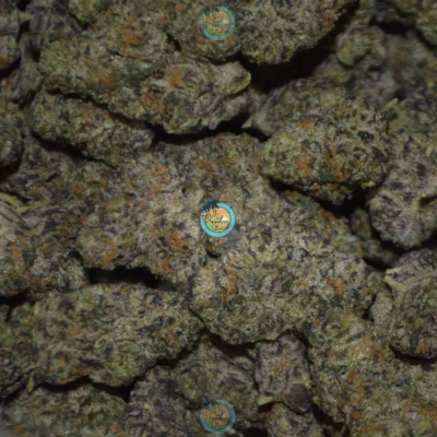 PLATINUM GSC Cannabis