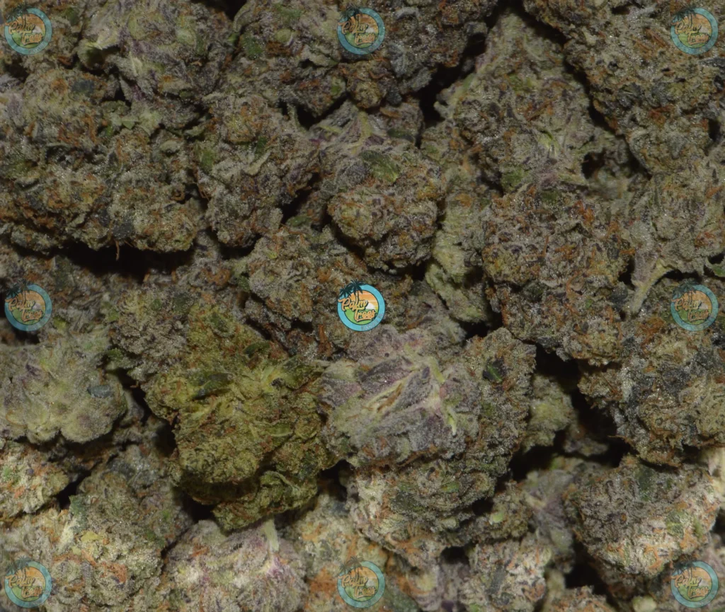 Haze Berry Cannabis in DC