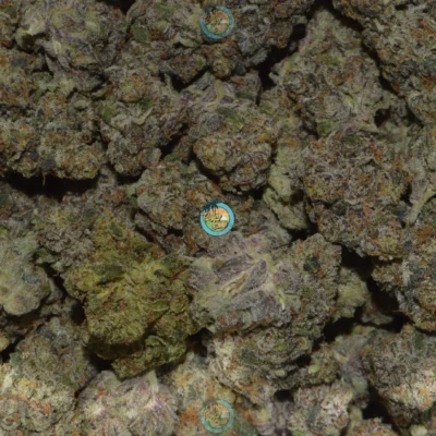 Haze Berry Cannabis in DC