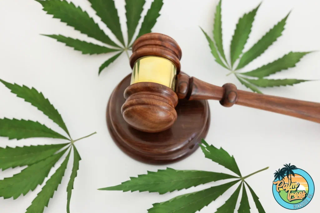 Exploring US Cannabis Laws