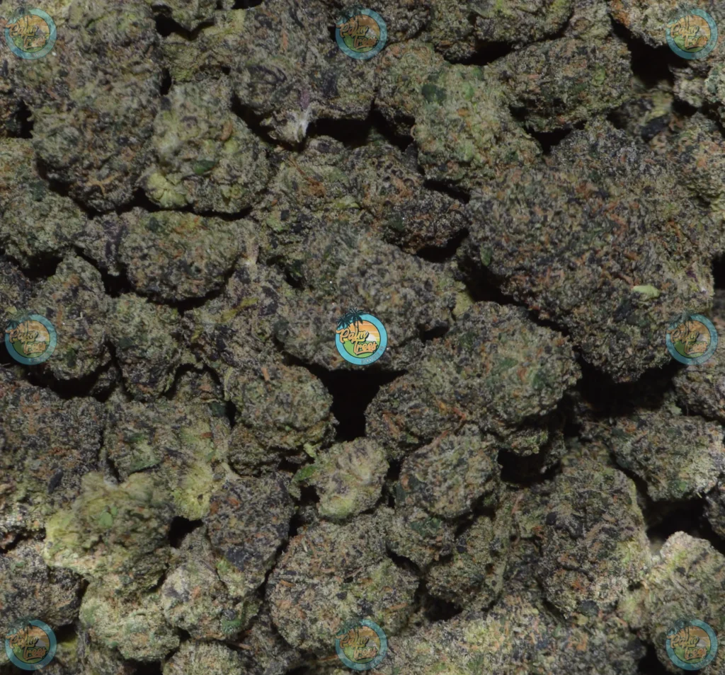 Sleepy Joe OG Cannabis in DC