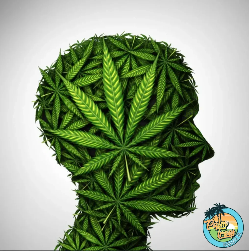Understanding THC Effects