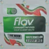 Flav Belts Watermelon