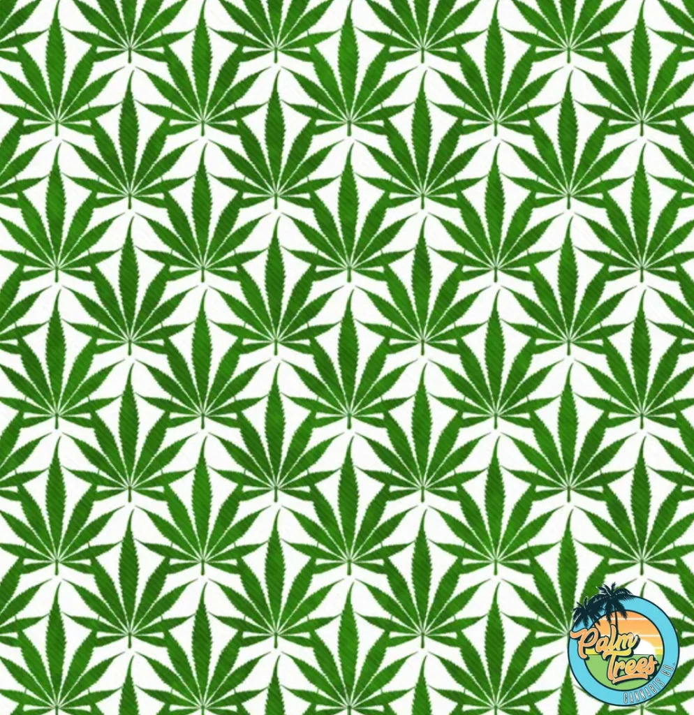 High End Cannabis Fashion