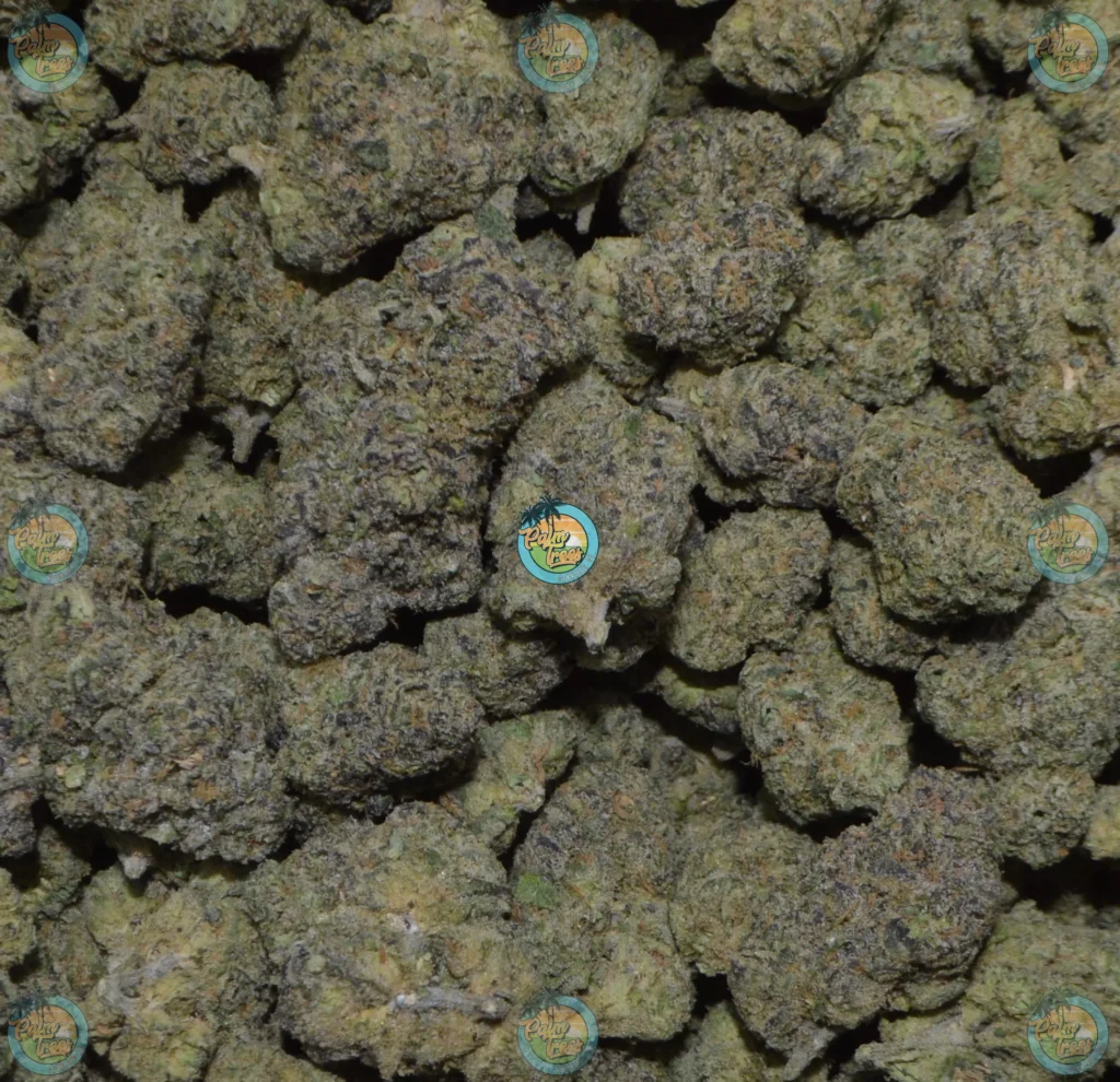 Ice Berry Cannabis in DC