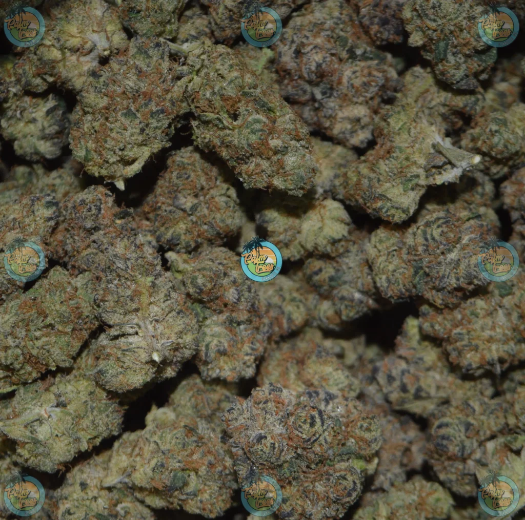 Lime Sour Cannabis in DC