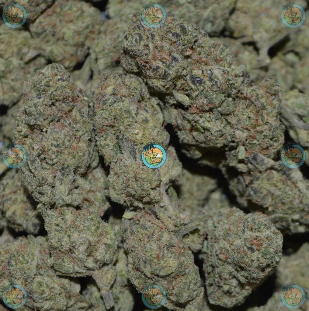 Area 41 Cannabis in DC