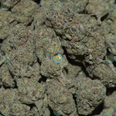 Area 41 Cannabis in DC