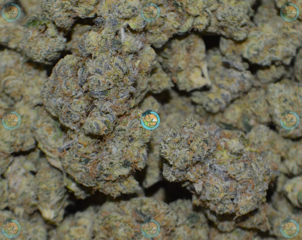 Applescotti Cannabis in DC