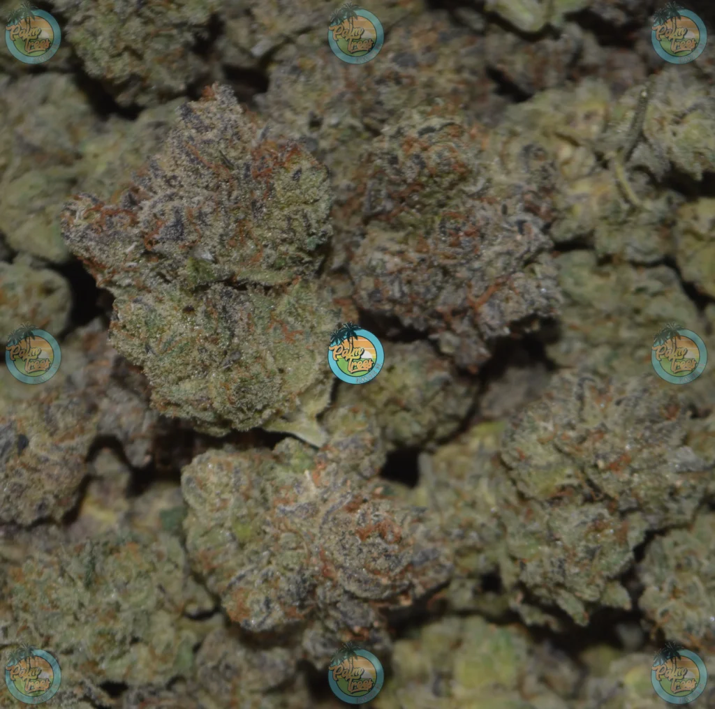 Blissful Wizard Cannabis in DC