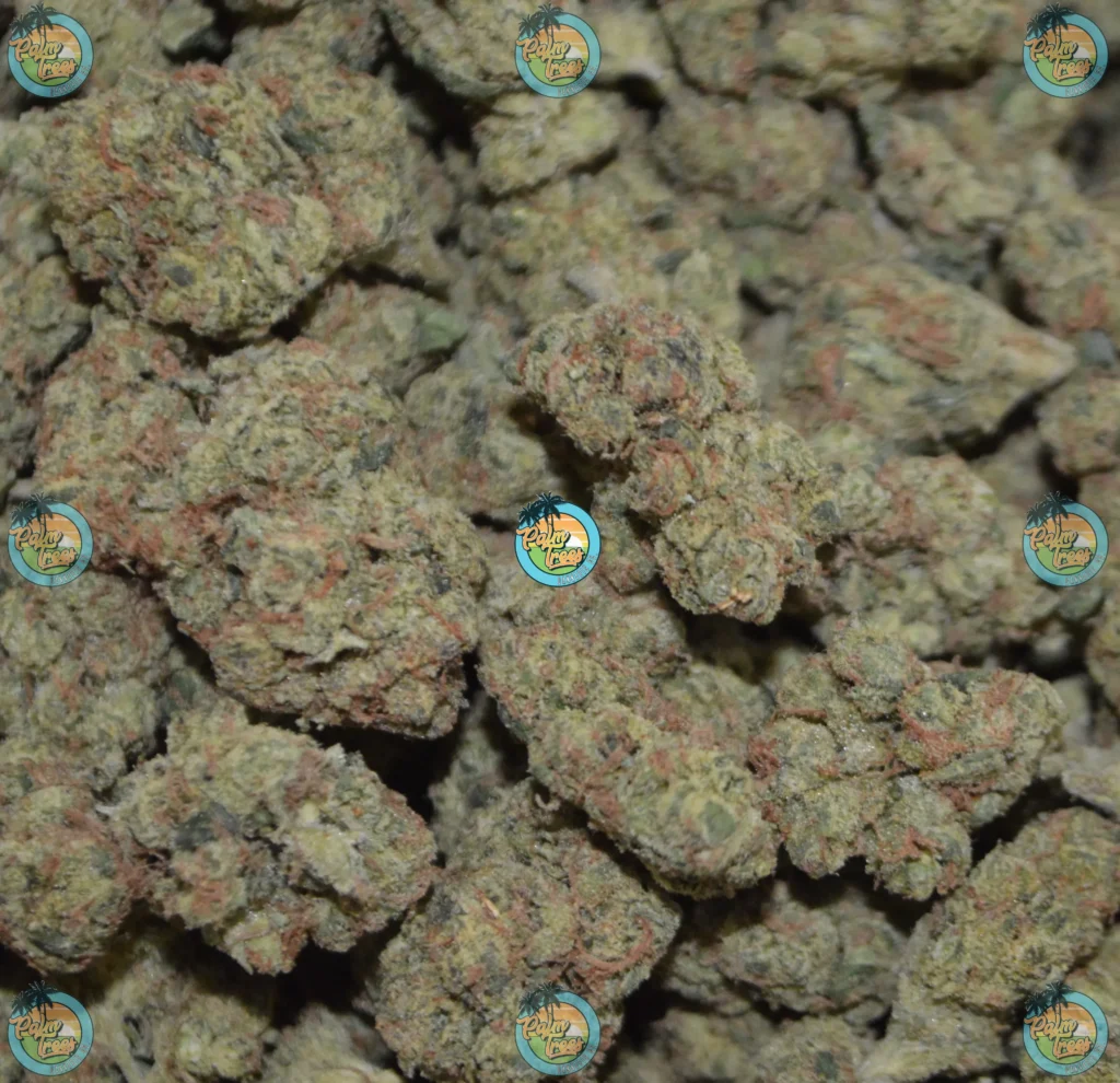 Blucifer Cannabis in DC