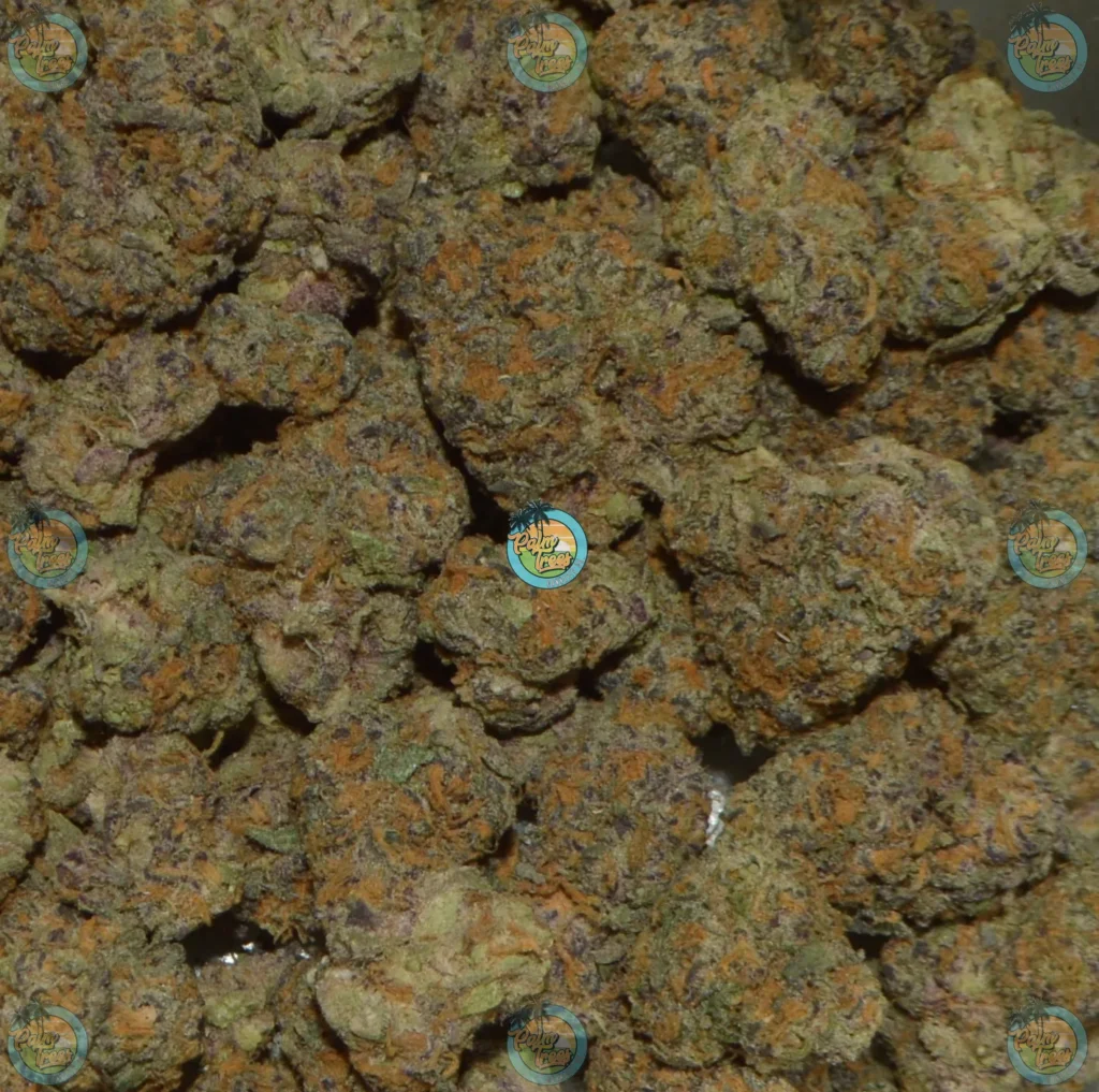 Grape Gatsby Cannabis in DC