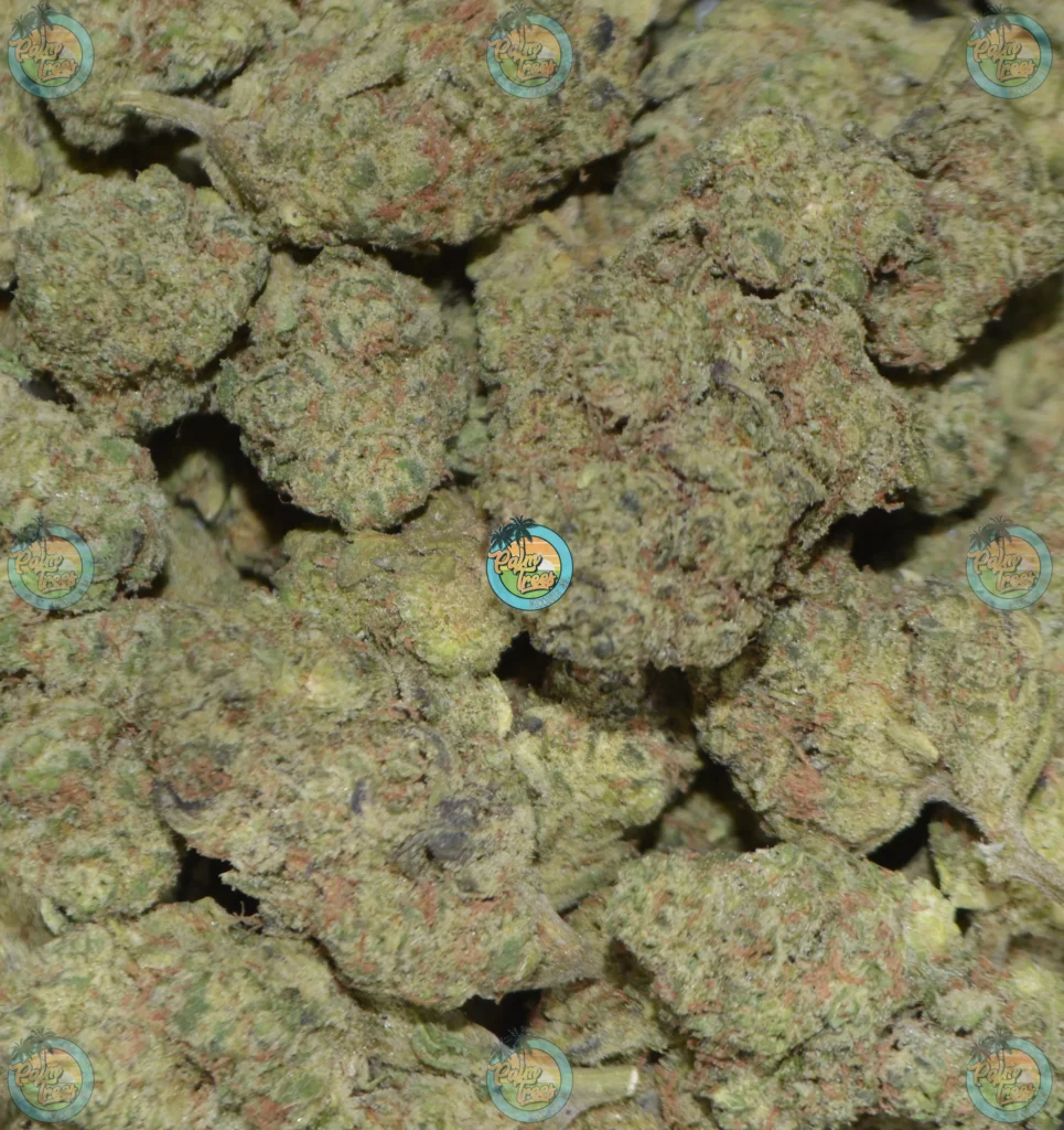 TRUFFLE BUTTER CANNABIS in DC