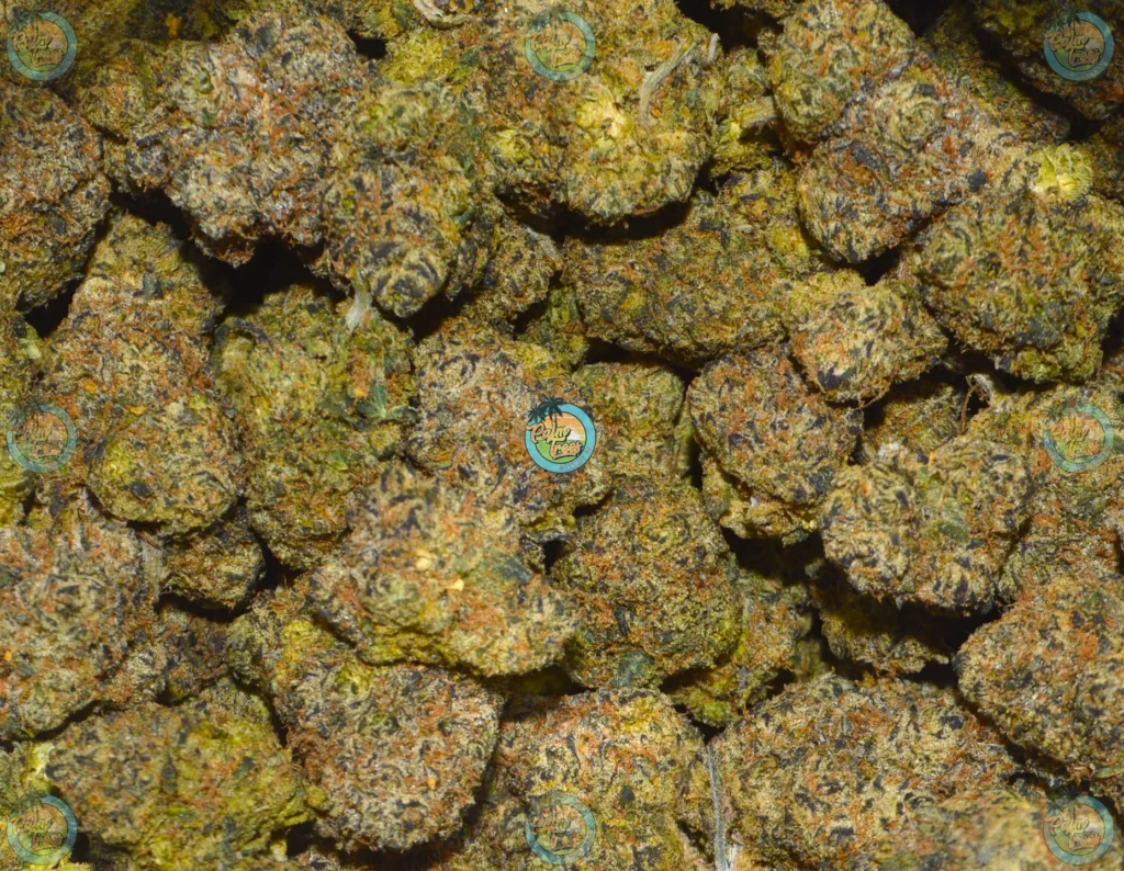 Laughing Buddha Cannabis in DC