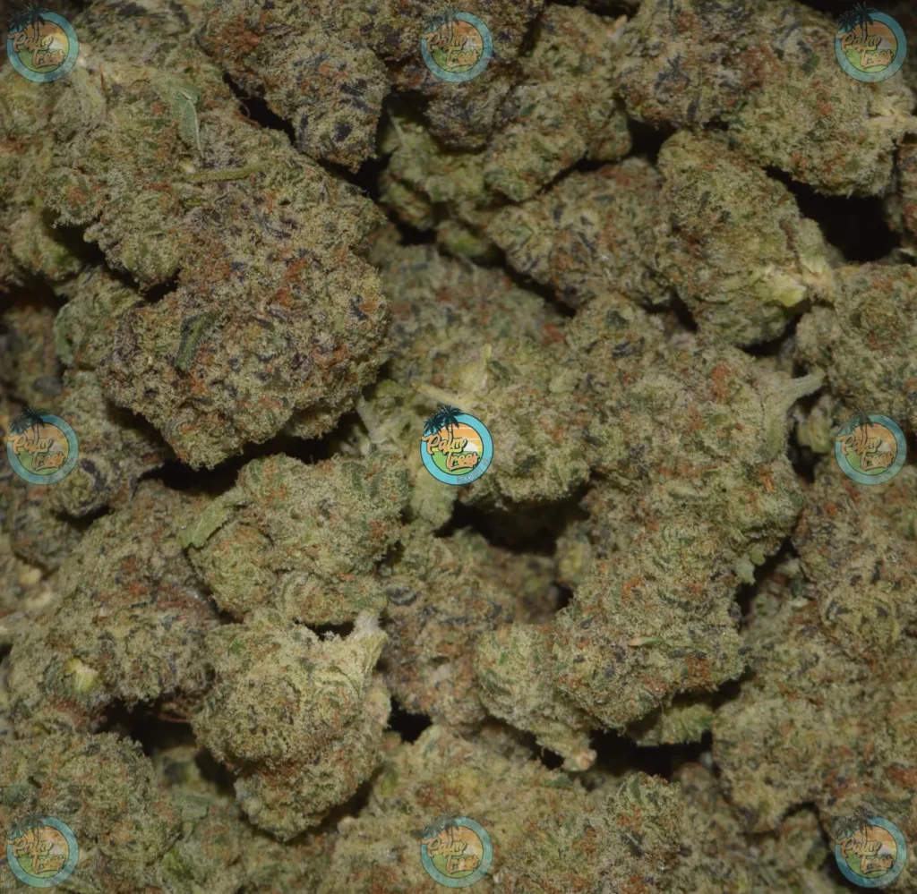 Tahitian Lime Cannabis in DC