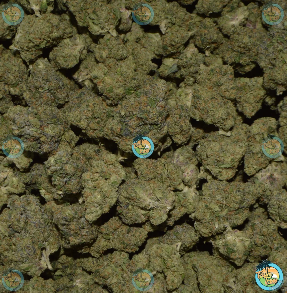 ULTRA WILSON cannabis in dc