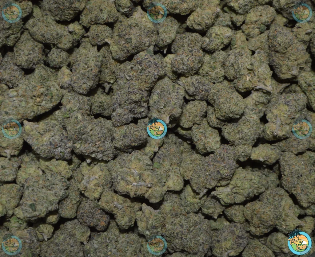 Nectarine Jelly Cannabis in DC