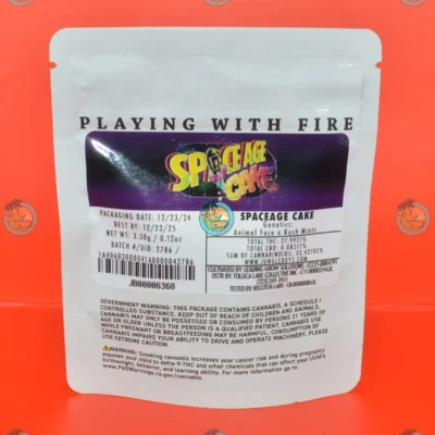 Jungle Boys Spaceage Cake