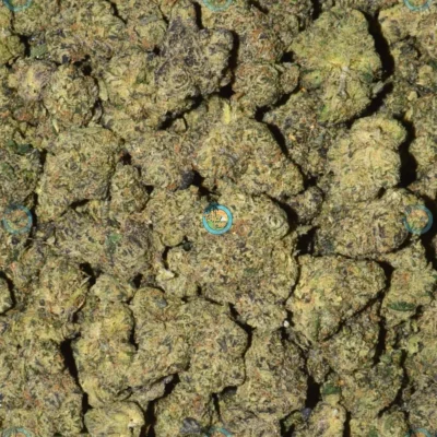 JEALOUSY PIE cannabis