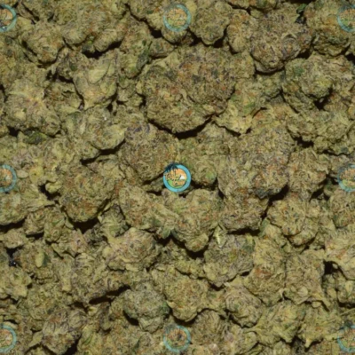 Moroccan Peaches Cannabis