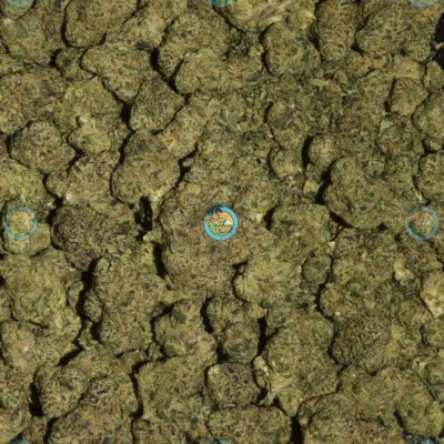 DOSI & BANANA Cannabis