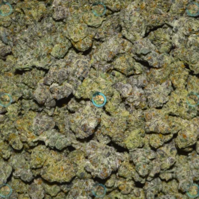 Gorilla Butter Cannabis